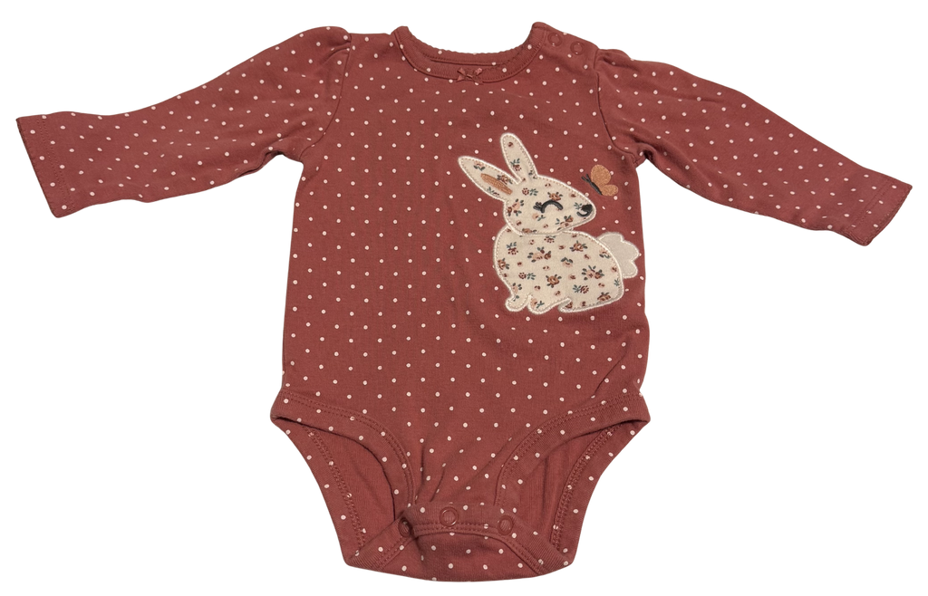 Girls 6 Month Long Sleeve Onesie