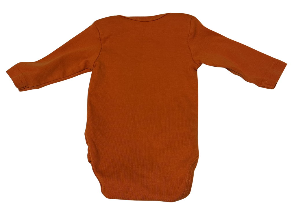 Girls 0-3 Month Long Sleeve Fall Onesie