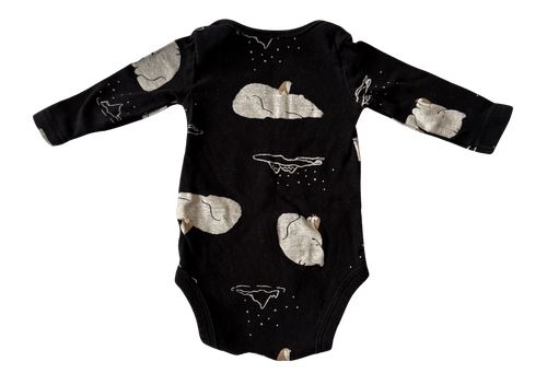 Boys 3 Month Long Sleeve Onesie