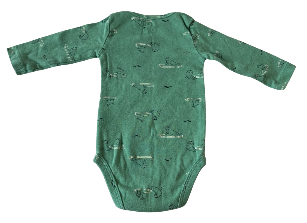 Boys 6 Month Long Sleeve Onesie