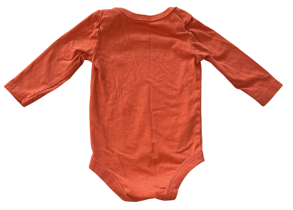 Boys 6-12 Month Long Sleeve Onesie