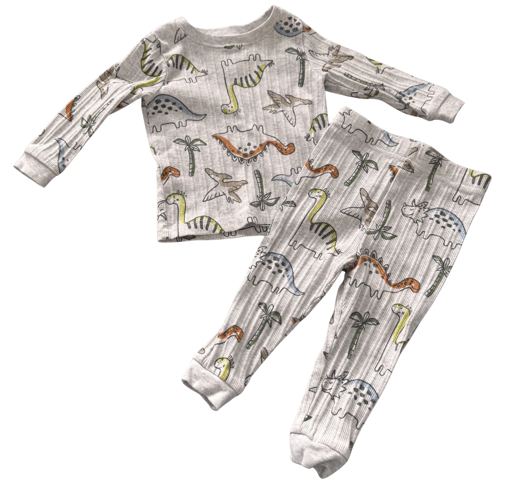 Boys 12-18 Month 2-Piece Pajama Set