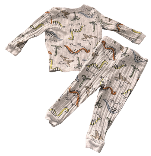 Boys 12-18 Month 2-Piece Pajama Set
