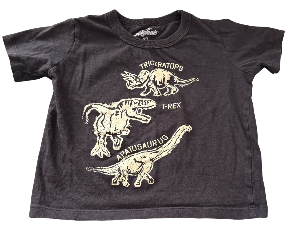 Boys 2T T-Shirt