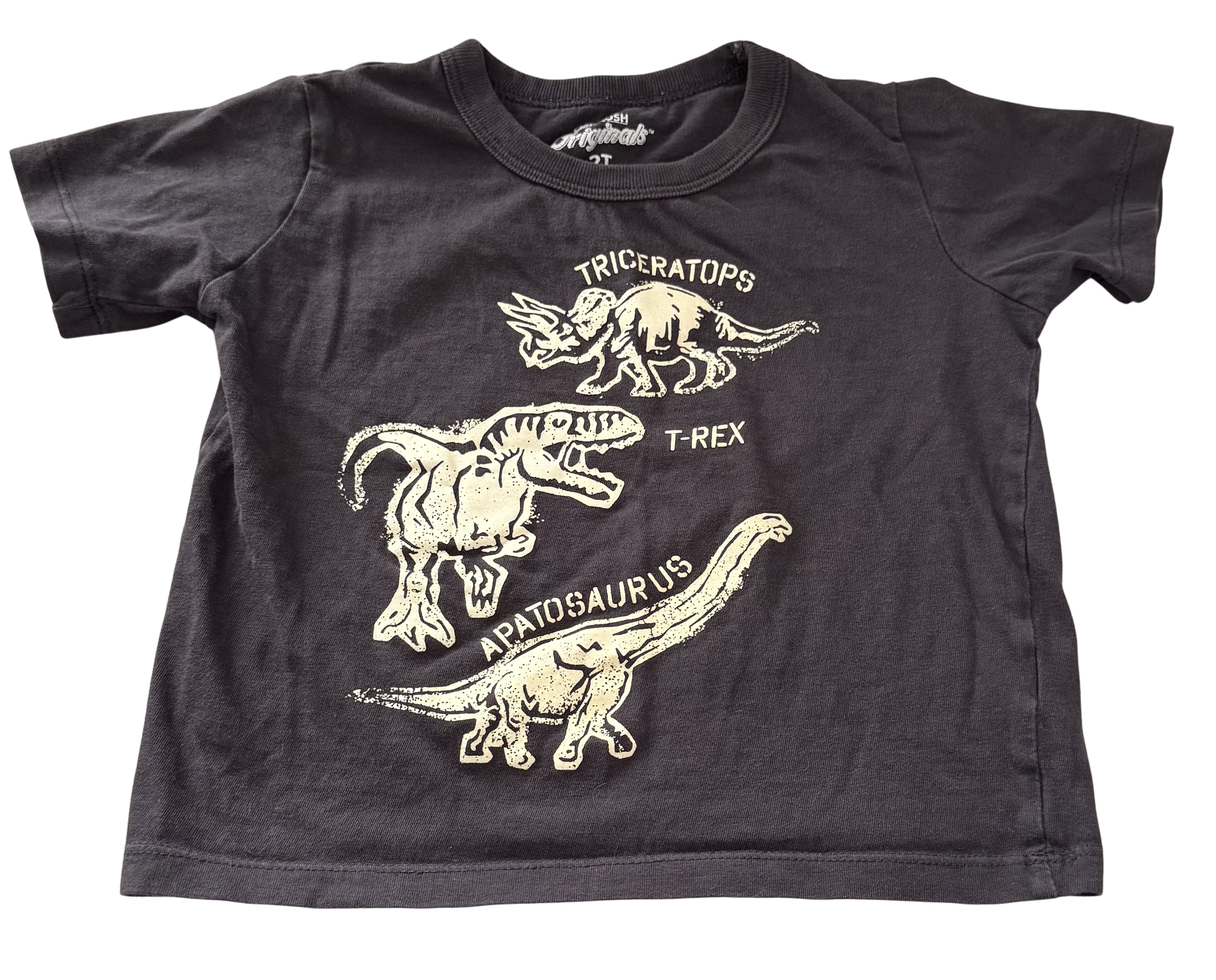 Boys 2T T-Shirt
