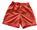 Boys 3T Shorts