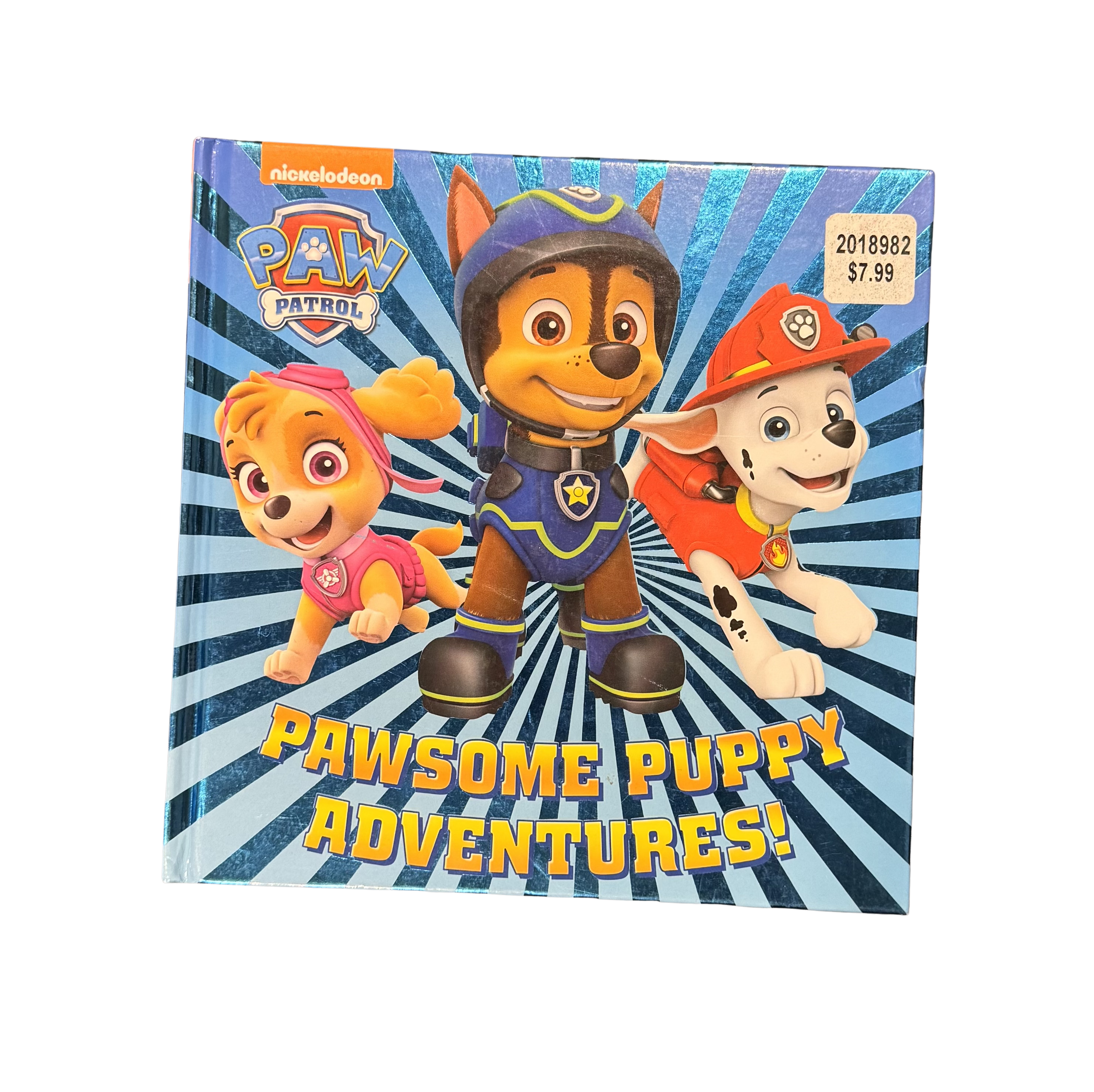 Paw Patrol Pawsome Puppy Adventures